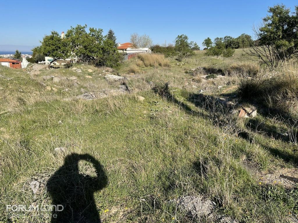 Αγροτεμάχια 7.000 τ.μ. προς πώληση, Θεσσαλονίκη - Περιφ/Κοί Δήμοι, Πανόραμα