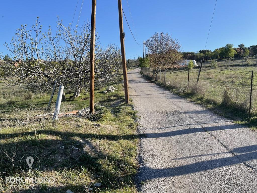 Αγροτεμάχια 7.000 τ.μ. προς πώληση, Θεσσαλονίκη - Περιφ/Κοί Δήμοι, Πανόραμα