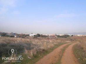 Αγροτεμάχια 4.403 τ.μ. για πώληση