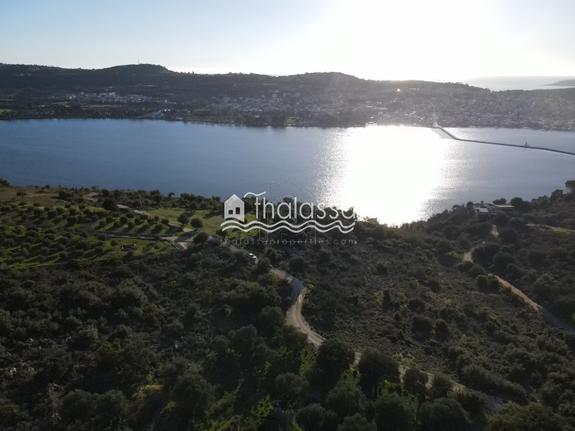 Οικόπεδο 3.200 τ.μ. για πώληση, Ν. Κεφαλονιάς, Κεφαλονιά
