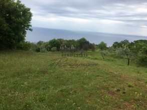 Οικόπεδο 4.305τ.μ. για πώληση-Μούρεσι » Τσαγκαράδα