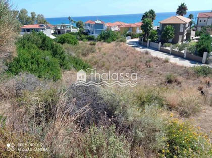 Land plot 3.000sqm for sale-Kefalonia » Eleioi-Pronoi