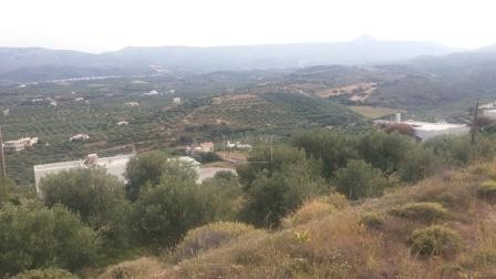 Land plot 4.056sqm for sale-Itanos » Kouremenos