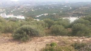 Οικόπεδο 4.056 τ.μ. προς πώληση, Ν. Λασιθίου, Ίτανος-thumb-8