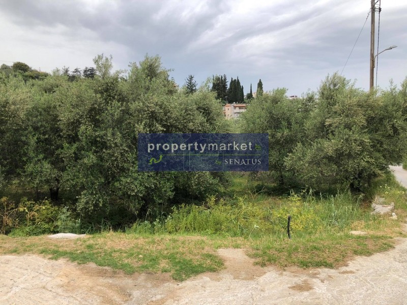 Land plot 1.660 sqm for sale