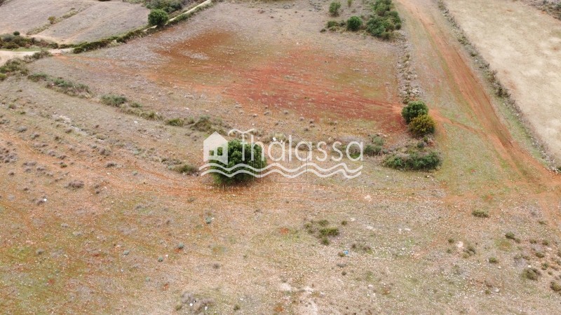 Land plot 10.000sqm for sale-Kefalonia » Leivatho