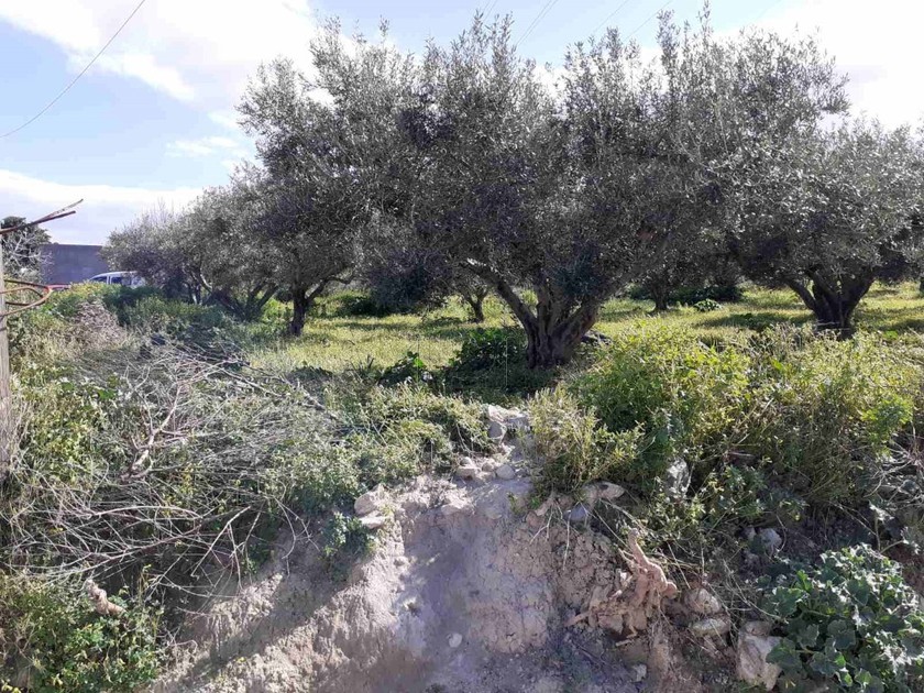 Οικόπεδο 3.800τ.μ. για πώληση-Ηράκλειο κρήτης » Κατσαμπάς