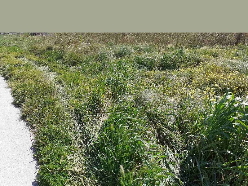 Land plot 2.200 sqm for sale