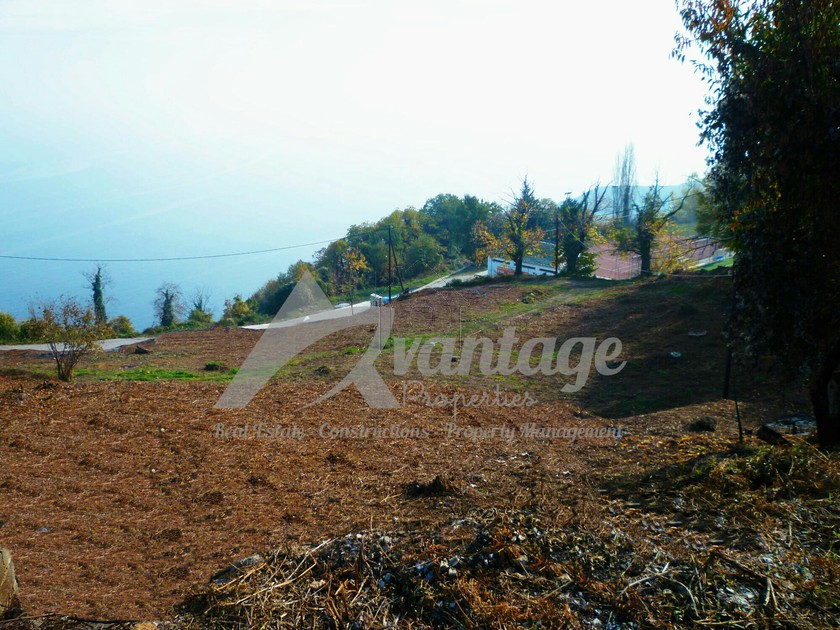 Land plot 4.816 sqm for sale, Magnesia, Mouresi