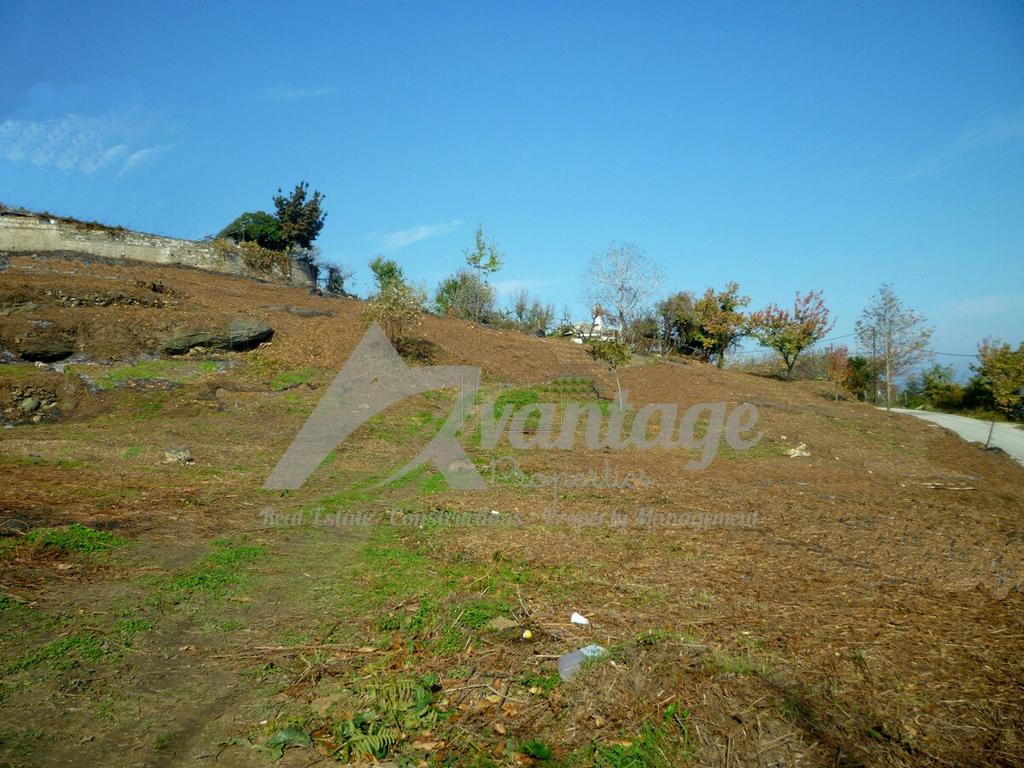 Οικόπεδο 4.816 τ.μ. προς πώληση, Τσαγκαράδα