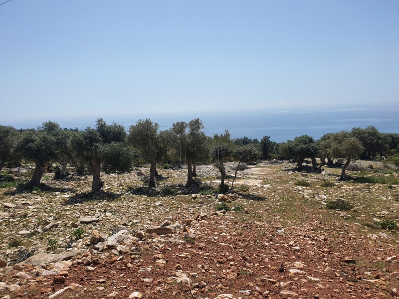 Αγροτεμάχια 12.763τ.μ. για πώληση-Θάσος » Αστρίδα
