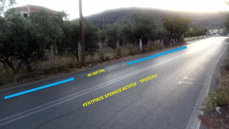 Αγροτεμάχια 5.651 τ.μ. προς πώληση, Άστρος
