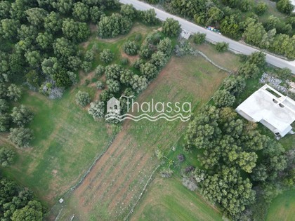 Land plot 2.500sqm for sale-Kefalonia » Leivatho