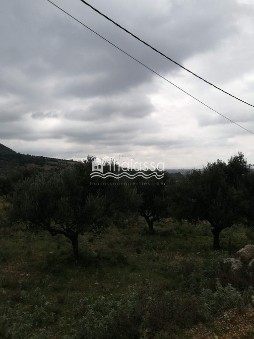 Land plot 2.200 sqm for sale, Messinia, Kiparissia