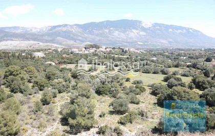 Land plot 2.004sqm for sale-Kefalonia » Leivatho