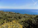 Parcel 4.025sqm for sale-Kefalonia » Eleioi-Pronoi