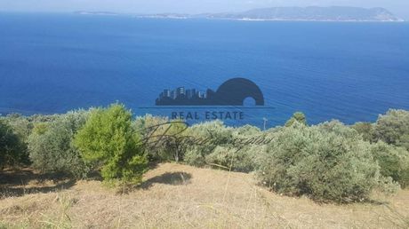 Αγροτεμάχια 5.873τ.μ. για πώληση-Σκόπελος » Γλώσσα