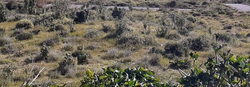 Land plot 500 sqm for sale