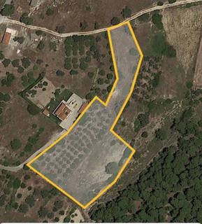 Land plot 4.060 sqm for sale, Argosaronikos Islands, Aegina