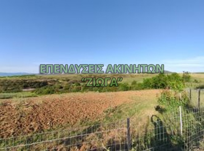 Parcel 37.000sqm for sale-Feron