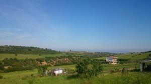 Αγροτεμάχια 6.000 τ.μ. για πώληση