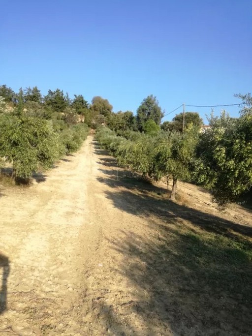 Οικόπεδο 4.800 τ.μ. για πώληση