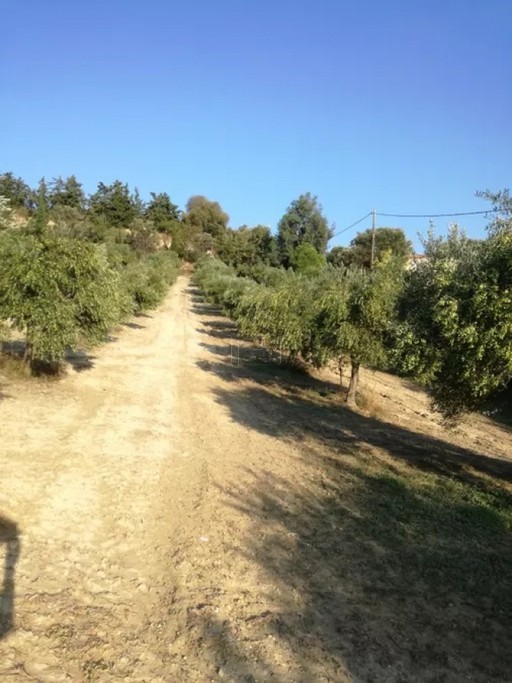 Land plot 4.800 sqm for sale, Heraklion Prefecture, Heraclion Cretes