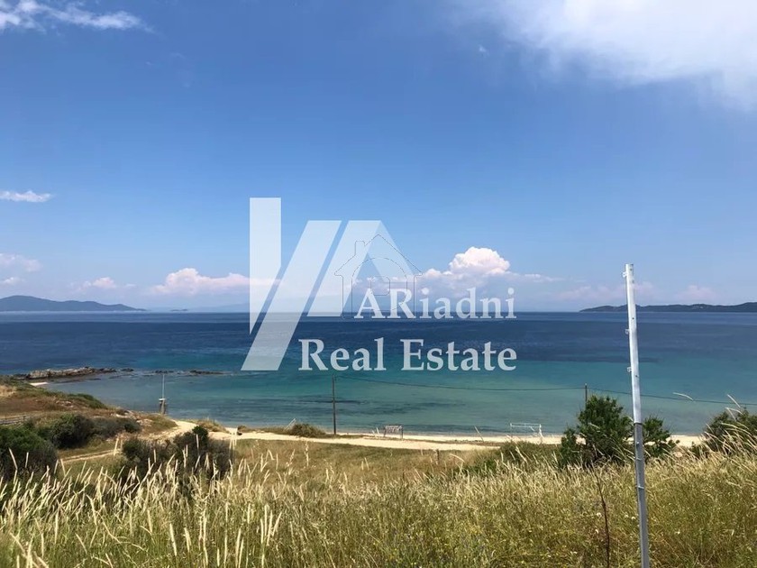 Αγροτεμάχια 8.080 τ.μ. για πώληση