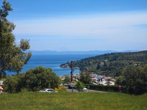 Αγροτεμάχια 5.484τ.μ. για πώληση-Παλλήνη » Παλιούρι