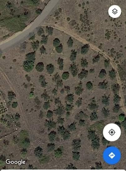 Αγροτεμάχια 4.800 τ.μ. για πώληση