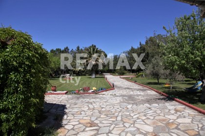 Other 3.000sqm for sale-Alexandroupoli » Dikella