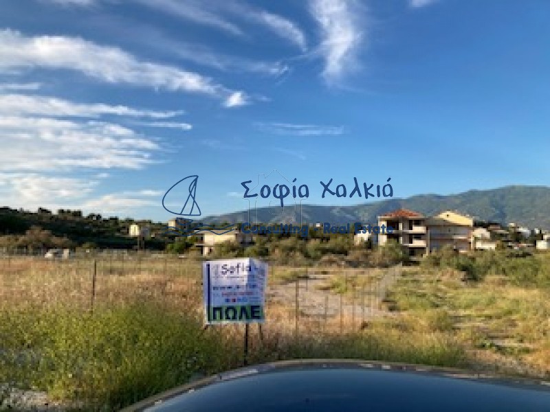 Οικόπεδο 430τ.μ. για πώληση-Βόλος » Νέες παγάσες