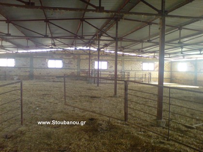 Warehouse 700sqm for sale-Amaliada » Sosti