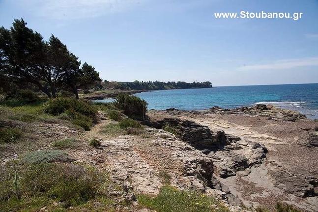 Αγροτεμάχια 6.000 τ.μ. για πώληση, Ν. Ηλείας, Πύργος