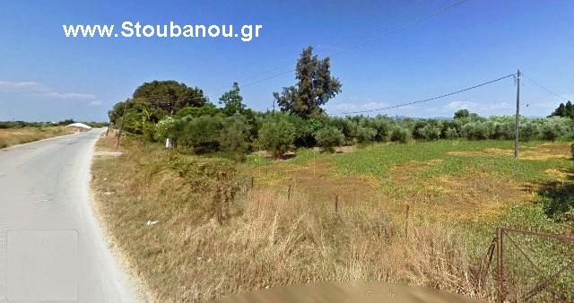 Οικόπεδο 3.000τ.μ. για πώληση-Βουπρασία