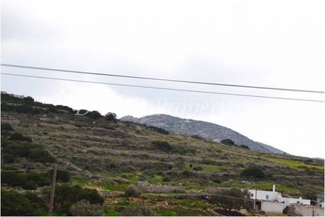 Parcel 9.300sqm for sale-Paros » Aneratza