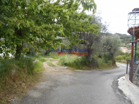 Αγροτεμάχια 750 τ.μ. για πώληση, Αχαΐα, Ερίνεο