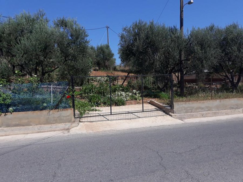 Οικόπεδο 500τ.μ. για πώληση-Αίγιο » Κουλούρα