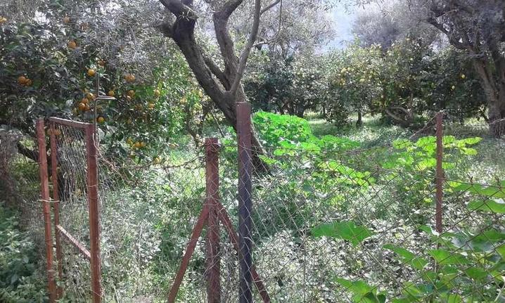 Οικόπεδο 1.000 τ.μ. για πώληση, Αχαΐα, Διακοπτό