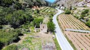 Οικόπεδο 15.100τ.μ. για πώληση-Ρέθυμνο » Πρασιές