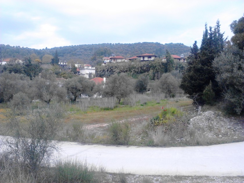 Land plot 1.800 sqm for sale, Ilia, Archaia Olimpia