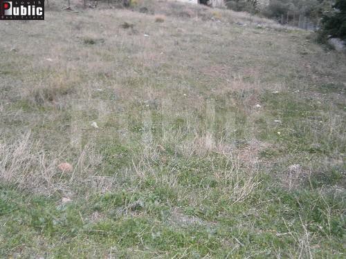Οικόπεδο 600τ.μ. για πώληση-Ανάβυσσος » Ανάβυσσος κέντρο