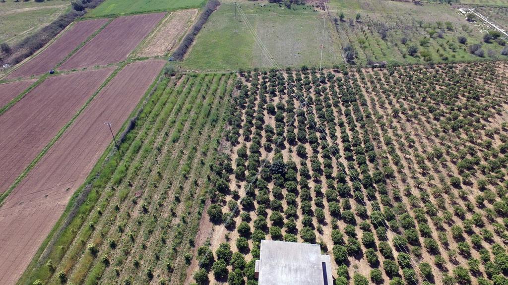 Φάρμα / ράντσο 0 τ.μ. πρός πώληση, Αργολίδα, Νέα Τίρυνθα