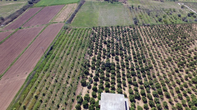 Φάρμα / ράντσο 0 τ.μ. για πώληση