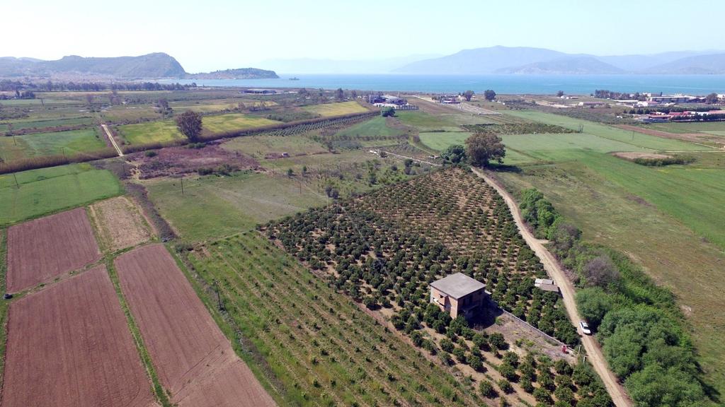 Φάρμα / ράντσο 0 τ.μ. πρός πώληση, Αργολίδα, Νέα Τίρυνθα