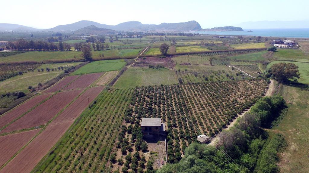 Φάρμα / ράντσο 0 τ.μ. πρός πώληση, Αργολίδα, Νέα Τίρυνθα