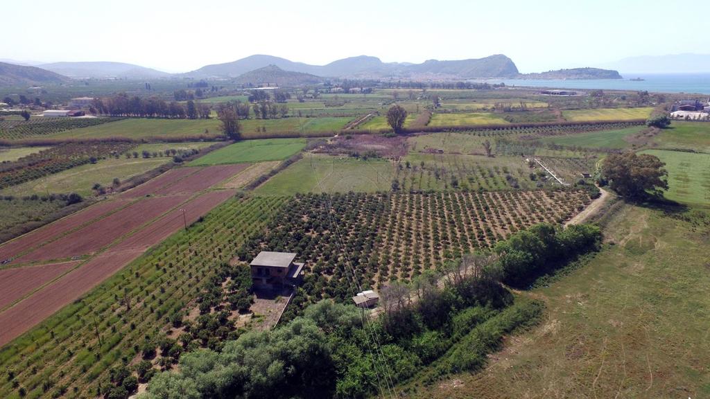 Φάρμα / ράντσο 0 τ.μ. πρός πώληση, Αργολίδα, Νέα Τίρυνθα