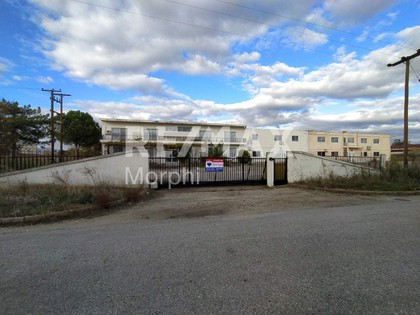 Industrial space 8.918sqm for sale-Komotini » Thrilorio