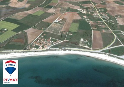 Land plot 10.000sqm for sale-Aigeiros » Arogi