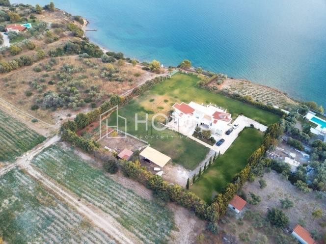 Οικόπεδο 10.000 τ.μ. για πώληση
